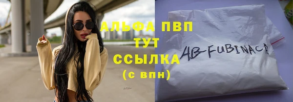 индика Балабаново