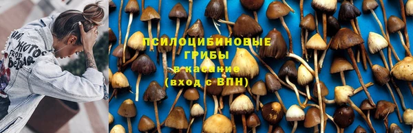 стаф Армянск