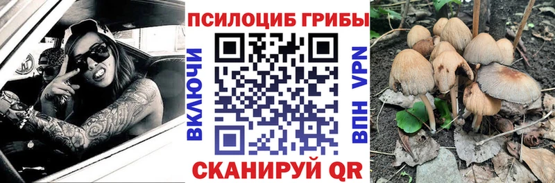 МЕГА ТОР  купить наркоту  Полесск  Галлюциногенные грибы мицелий 